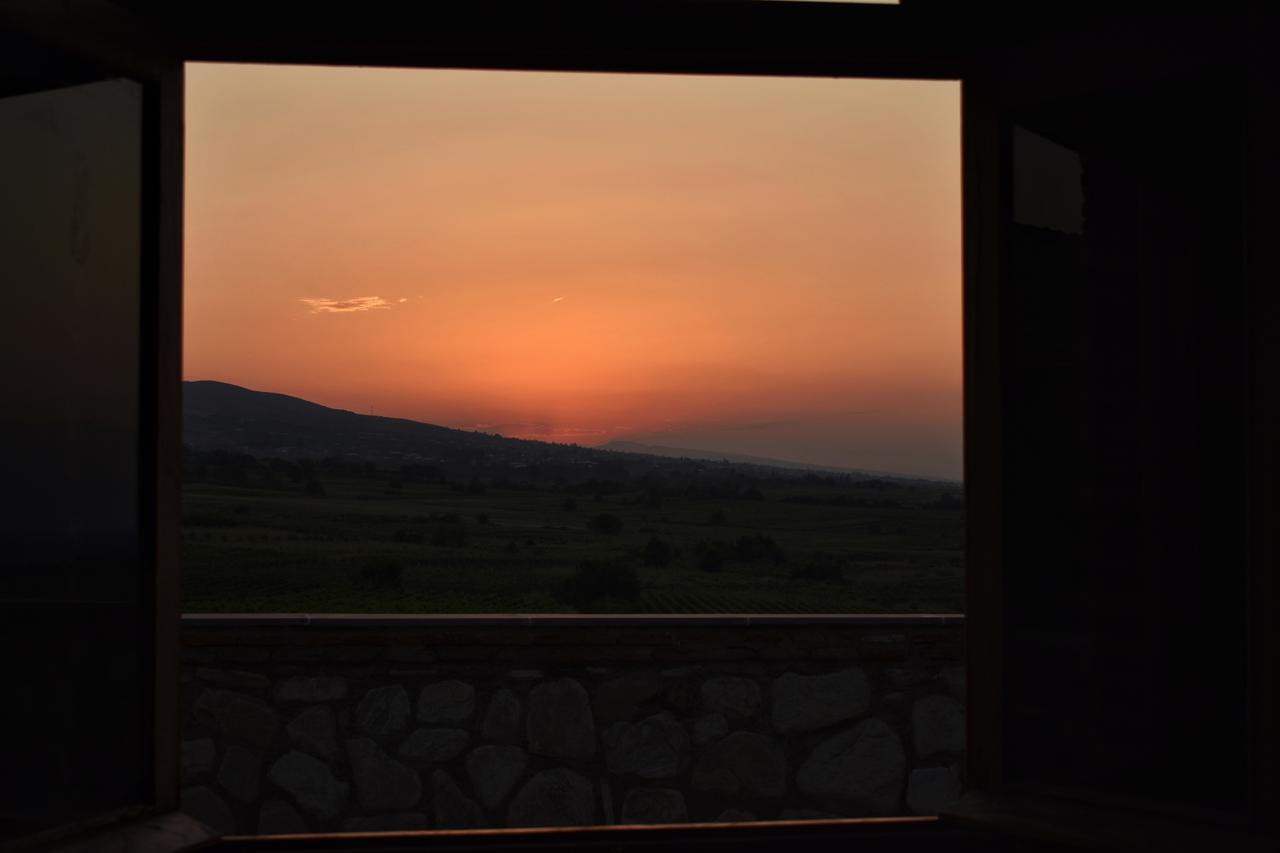 Elizbar Talakvadze Winery Villa Kardanakhi Exterior photo